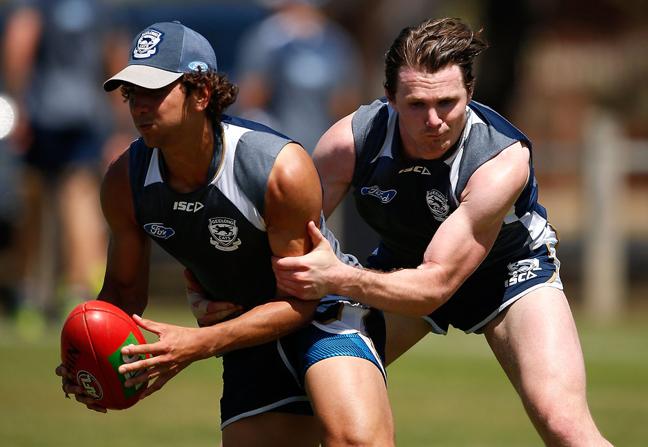 AFL 2015 Training - Geelong 141215 Geelong players in action during training - ${keywords}